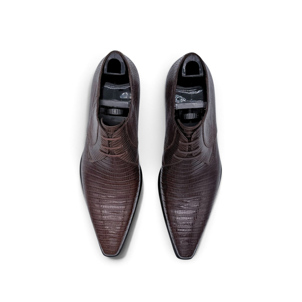 Derby Roberto Celk en cuir de téjus marron foncé