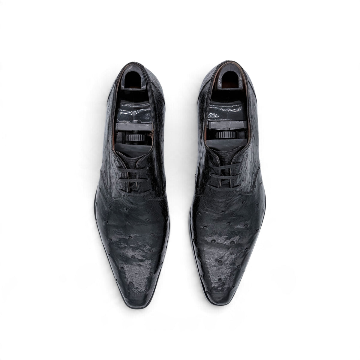 Derby Roberto Celk en cuir d'autruche noir
