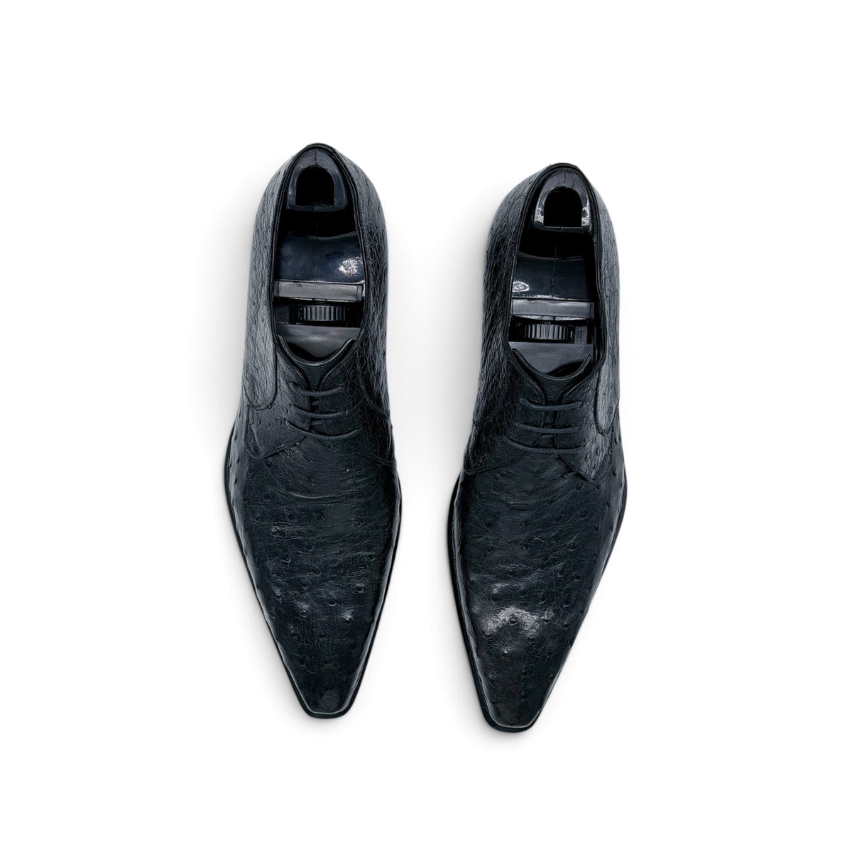 Derby Roberto Celk en cuir d'autruche noir