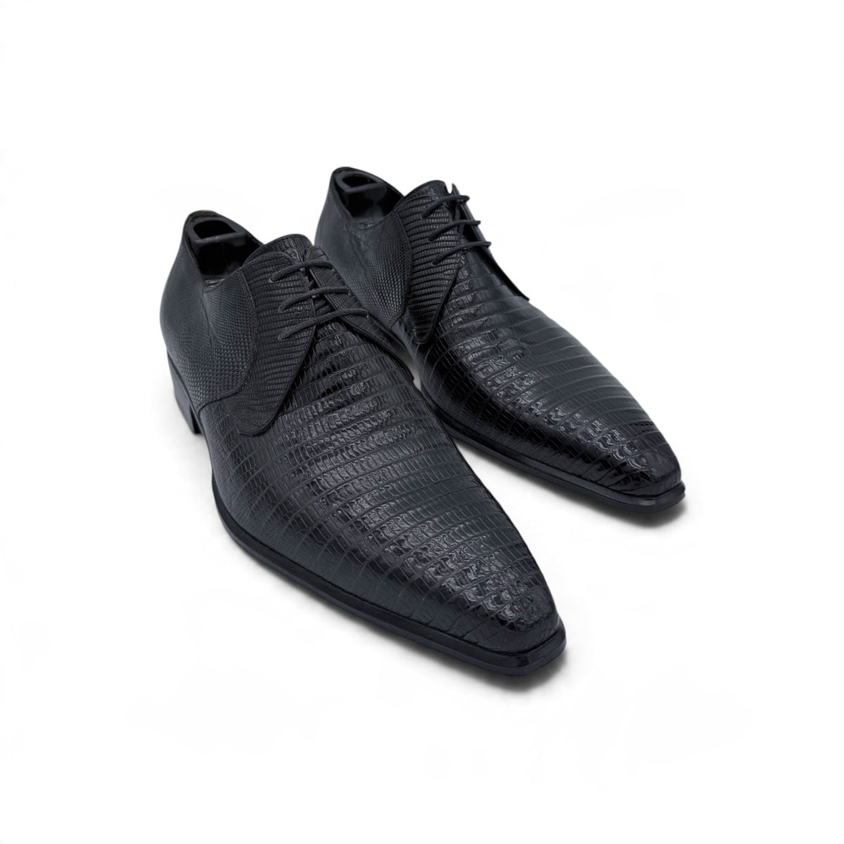 Derby Roberto Celk en cuir de téjus noir