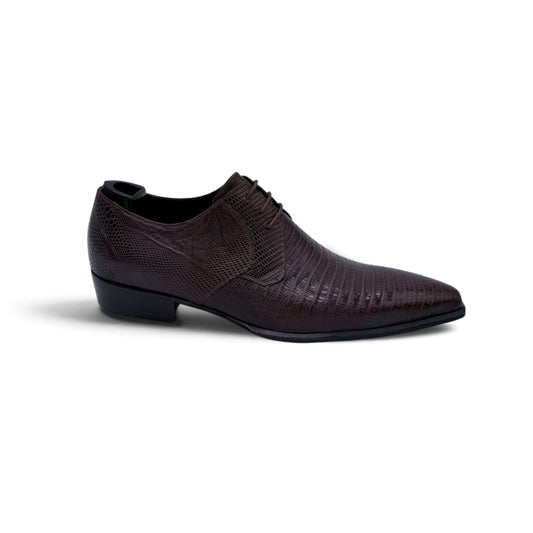 Derby Roberto Celk en cuir de téjus marron foncé