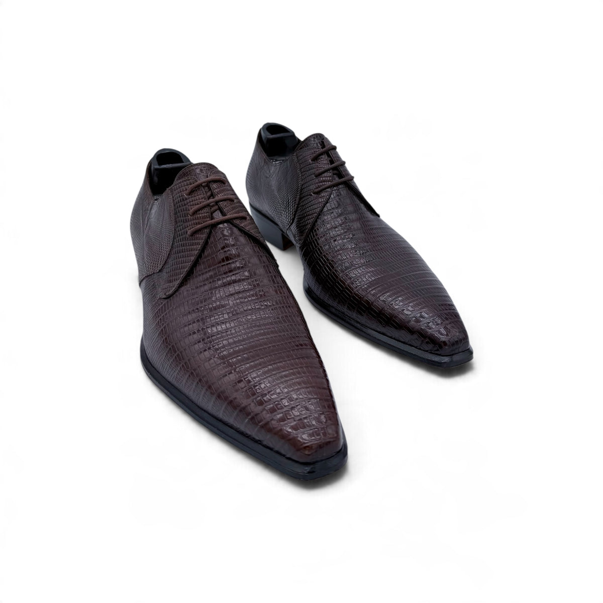 Derby Roberto Celk en cuir de téjus marron foncé