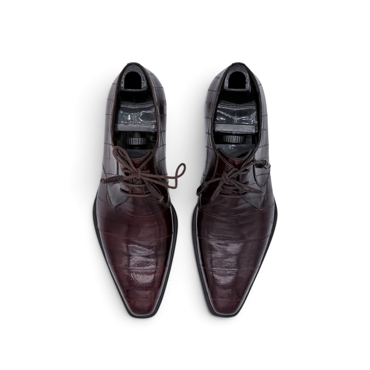 Derby Roberto Celk en cuir d'anguille marron foncé