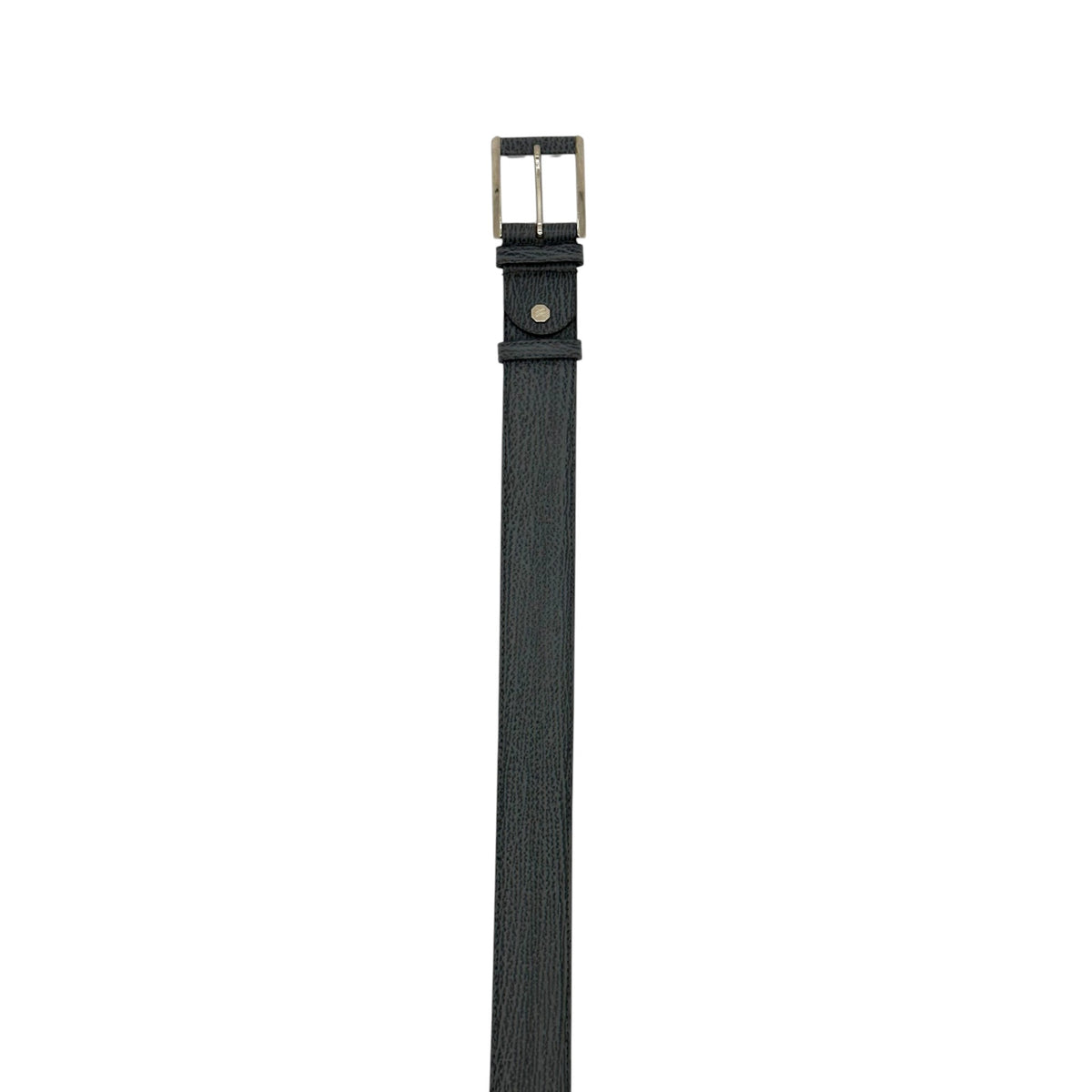 Ceinture Roberto Celk en requin gris