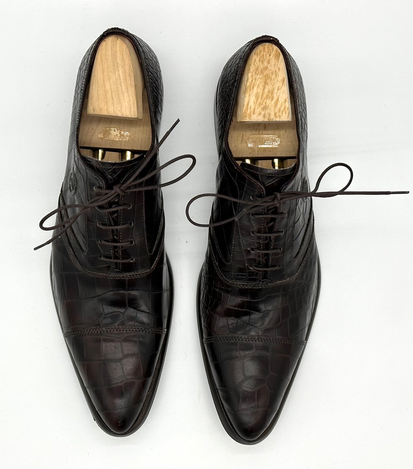 Richelieu Roberto Celk en crocodile marron