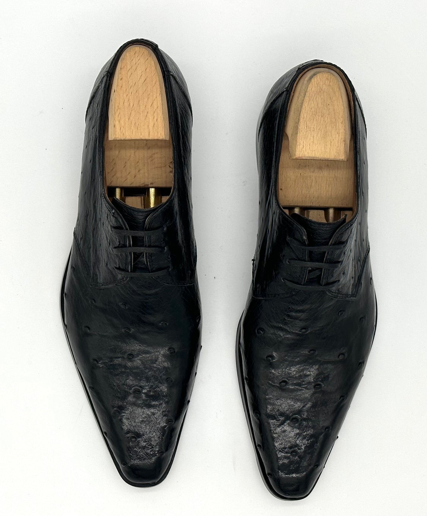 Derby Roberto Celk en autruche noir