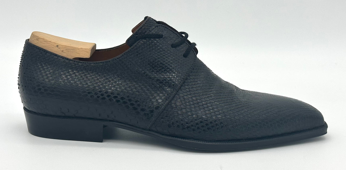 Derby Roberto Celk en python noir