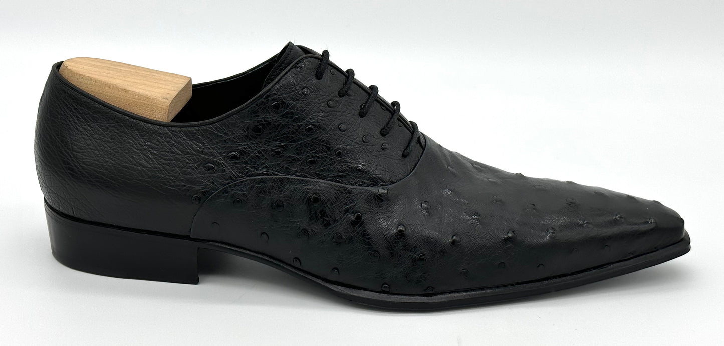 Richelieu Roberto Celk en autruche noir